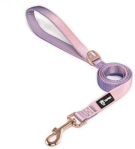 TSPRO Guinzaglio per Cani Leggero, Colore Gradiente Guinzaglio Cane con Maniglia Morbida e Fibbia Metallica, per Cani di Piccola e Media Taglia (Rosa Viola)