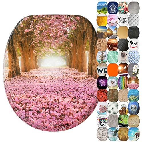 Sanilo WC Sitz mit Absenkautomatik, viele neue Toilettendeckel zur Auswahl, hochwertige Oberfläche, einfache Montage, stabile Scharniere (Romantik)