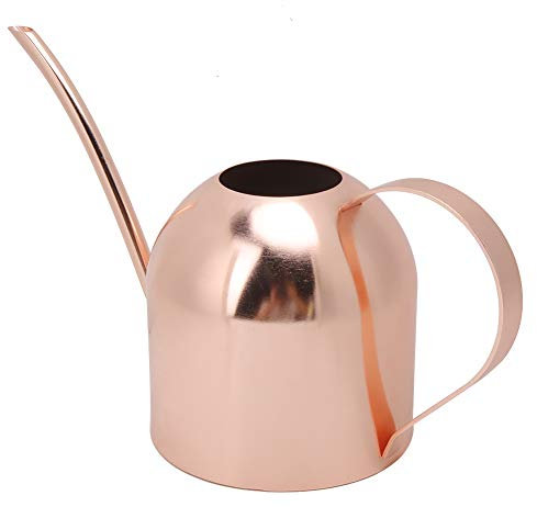 MISNODE Arrosoir en Cuivre avec Petit Bec Long pour Plantes D'intérieur, Fleurs D'extérieur, Plantes D'intérieur, Fleurs de Jardin