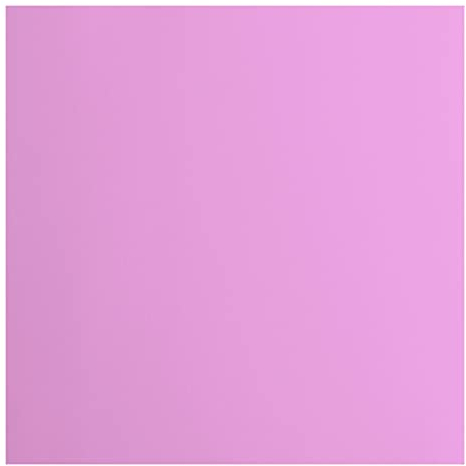 Florence Cardstock Smooth - Coloured Card Making Supplies 12 x 12 inch - Purple - 20 Sheets - Coloured Paper for Scrapbooking, Card Making, Die Cutting and Paper Crafts - 216 GSM - Hydrangea