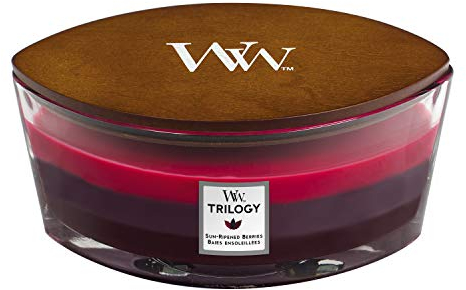 WoodWick Trilogy-Duftkerze im ellipsenförmigen Glas mit HearthWick-Docht, Sun-Ripened Berries