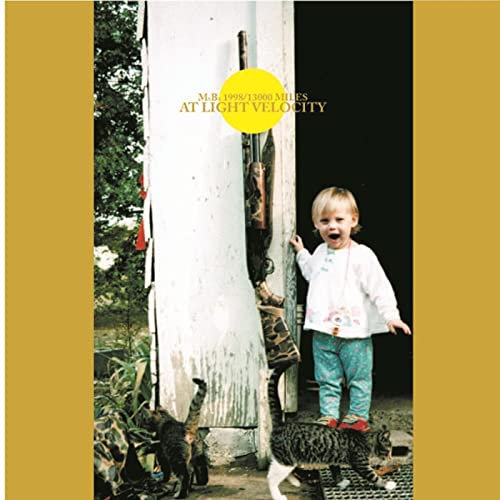 Disposable Weathercock