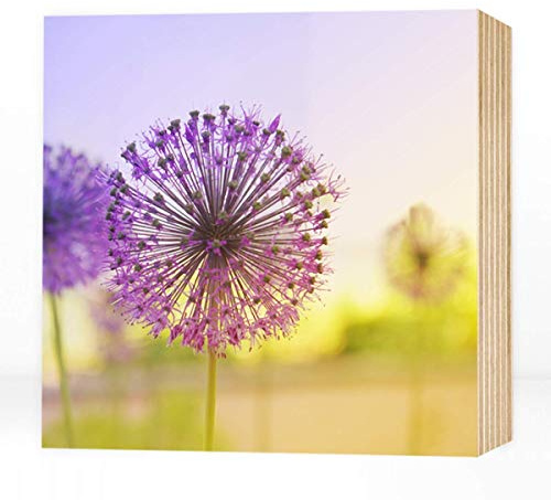 Wunderpixel® Holzbild Blütenkugel - 15x15x2cm zum Hinstellen/Aufhängen, echter Fotodruck auf Holz - Wand-Bild Aufsteller Dekoration für Zuhause/Büro oder als Geschenk - Fotografie mit Blume Blüte