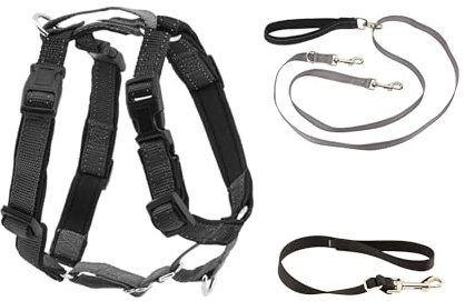 PetSafe 3-in-1-Geschirr mit Zweipunkt-Kontroll-Leine, individuelle Passform, langlebig, Gehorsamsausrüstung für sanftes Verhaltenstraining, um das Ziehen der Leine zu reduzieren, atmungsaktiv
