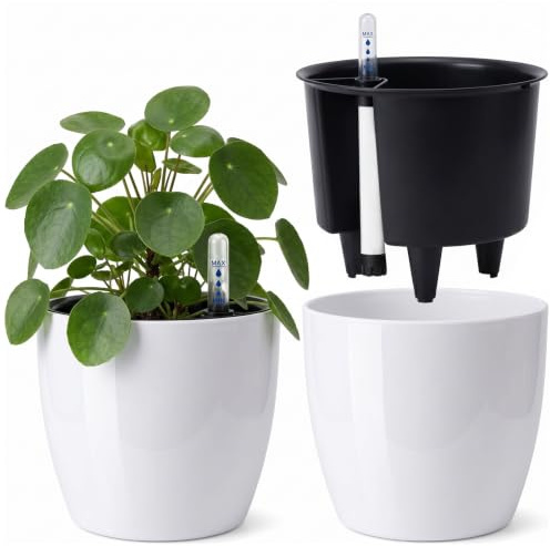 Luhuuxmu 2 vasi autoirriganti con indicatore dell'acqua, 18 cm, serbatoio d'acqua, adatto per monstera/rosmarino, per interni ed esterni, bianco