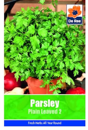 Vegetable Seeds for Growing Parsley Plain Leaved 150 Seeds Grow Your Own Garden Vegetable Salad Herb Seed