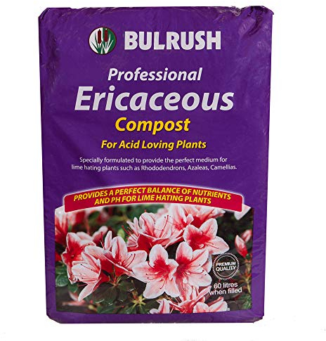 YouGarden Ericaceous Professional Compost 60L Bag - Acid Loving Plants - Rhododendrons, Azaleas, Camellias & Similar - Garden Compost for Borders & Pots