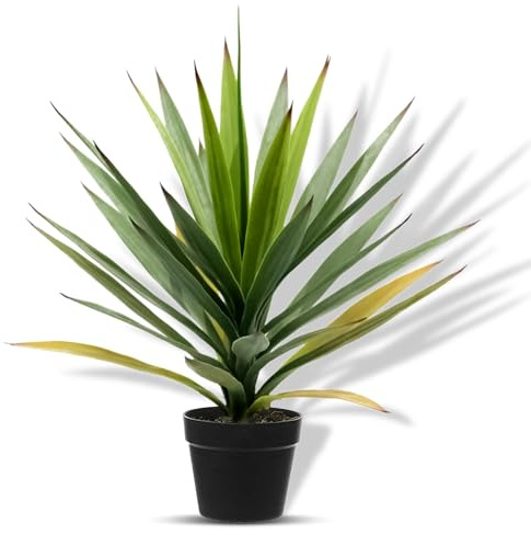 Crystals Decorative Artificial Flora - Small Plants in Pots for Indoor Decor - Faux Plants for Bathroom (50CM - Agave)