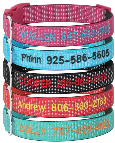 Personalisierbares besticktes Hundehalsband, individuelle Halsbänder mit Haustiernamen und Telefonnummer für Jungen und Mädchen, 4 verstellbare Größen, XS, S, M und L (massiv)