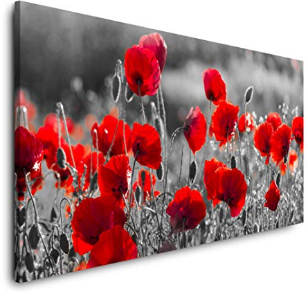 Rote Mohnblumen im Feld 120x 60cm Panorama Leinwand Bild XXL Format Wandbilder Wohnzimmer Wohnung Deko Kunstdrucke
