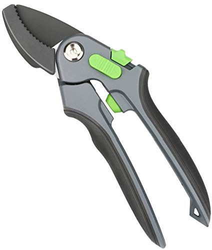 Astschere Astschere Haushalt Große Öffnung Gartenschere Kann Obstbaum Blumen Trimmen Werkzeug Garten Grasschere Hand Pruner (C) (Color : B) (A)