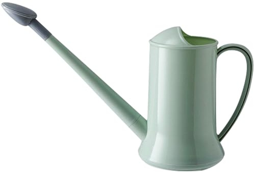 Arrosoir d'intérieur 2 L, 2 modes de pulvérisation, petit arrosoir avec bec long amovible et pomme de douche, arrosoir de jardin en plastique pour plantes d'intérieur et d'extérieur, fleur bonsaï vert