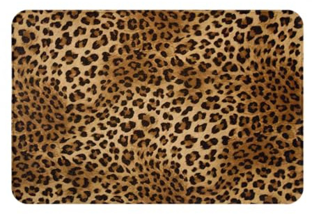 QYUHBNS Cute Leopard Print Doormat,Washable Indoor And Outdoor Welcome Mat,Front Door,Patio,Bathroom,Kitchen