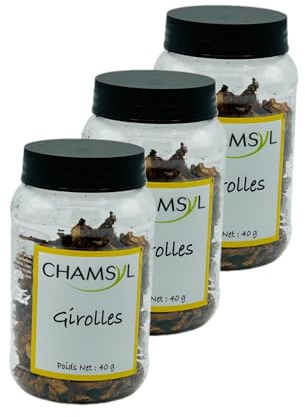 Lot 3x Girolles - Pot 40g