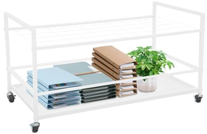 DeeDuud Scaffalatura per documenti a 50 scomparti con ruote universali e freni, portata 22,68 kg, scaffale mobile per rotoli di carta, documenti e piani architettonici (bianco)