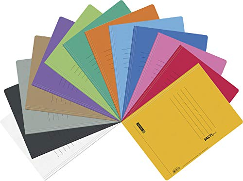 Brunnen Schnellhefter Papphefter 13 Farben extra stark 375g | 13er Packung, Farb Mix intensiv