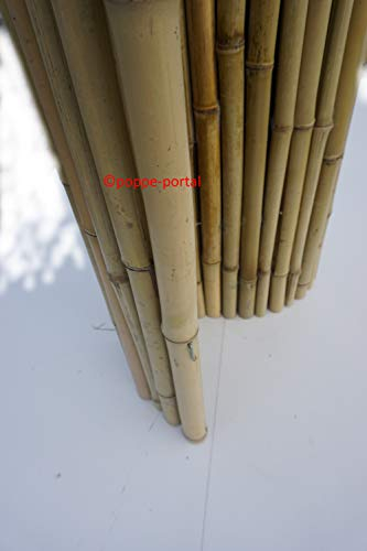 Bambuszaun Rollzaun Bambusmatte Gartenzaun Heckenzaun Lattenzaun (Bambusrollzaun, 24/26mm 180cm H x 180cm B)