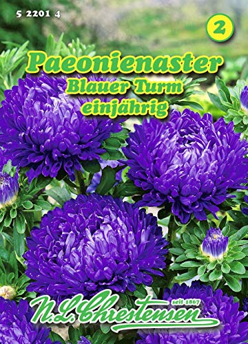 Callistephus chinensis, Päonienaster, Blauer Turm blau N.L.Chrestensen Samen