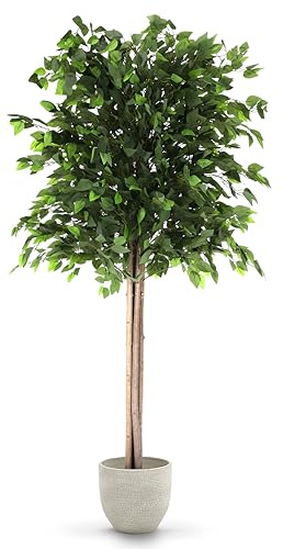 Maia Shop Ficus Künstlich 185 cm - Deko-Baum wie echt für Innen | Große Kunstpflanze mit Naturholzstamm und PE-Blättern für Wohnzimmer Flur Büro Empfang - Schwarzer Topf inklusive