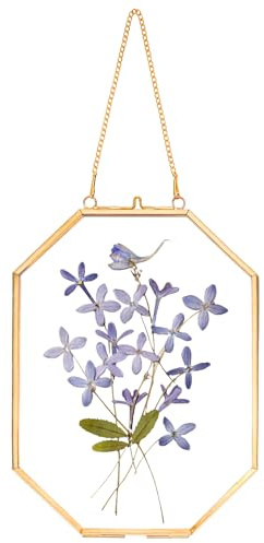 REDHUGO Pressed Flower Frames, Glass Frames, Octagon, Gold, 5x7 Inches | Floating Frames for Display Dried Plant Specimen Picture, Hanging Brass Photo Frame with Chain, Double Glass, Vintage Wall
