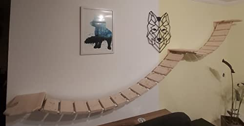 MediKratz Wandpark für Main Coon, Catwalk, Kletterwand, Katzenwand, Trittstufen (100+100cm, Natur)