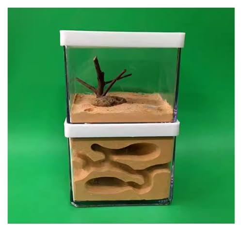 Ameisenfarm Formicarium Ameisenfarm-Studie Ameisenverhalten Ameisennest Burg Bildung Klarer Gips Ameisenburg Fütterungsbox Ameisenlernen Ameisenfarm für Draußen