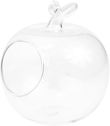 Alipis Terrarium Glass Container Oblique Planter Micro Landscape Bottle Plants Unique Apple Shape Home and Office Dec