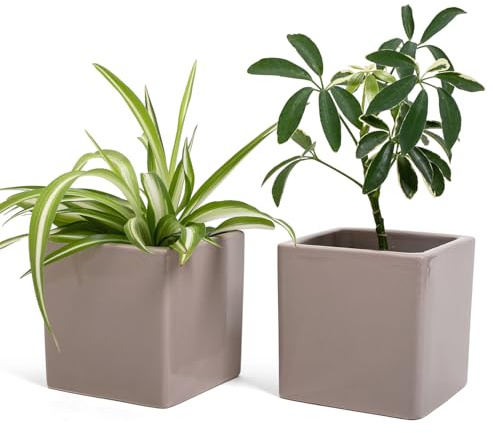 Vimin Box Set 2 pcs, Vasi Quadrati in Ceramica, per Interni, Grigio Tortora, per Piante Grasse, Fiori, Bonsai, Cactus, Decorazione Casa, Scrivania, Tavolo, Ufficio. (M - 10x10cm Tortora)