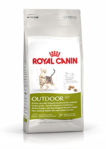 Royal Canin Katzentrockenfutter für Erwachsene Katzen Outdoor, 4 kg, 4000 g, Flocke, Allergenfrei, Großer Hund, Katzenbesitzer mit Freigängerkatzen