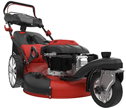 Rasenmäher BIG WHEELER 554.1 R TRIKE