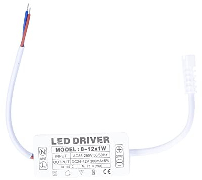 Alimentatore LED Driver 300mA Costante DC24-42V per Strisce Luci e Moduli Illuminazione a LED