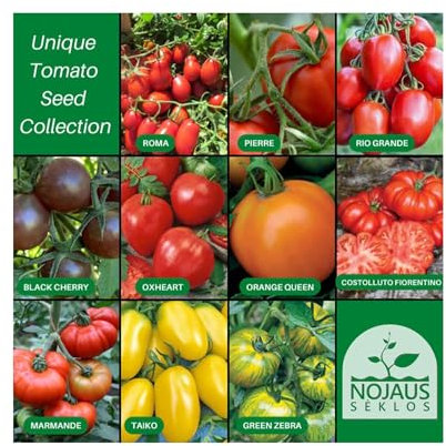 Nojus - Tomaten Samen Set – 10 Sorten – Verschiedene Tomatensamen Starter Kit - 10 Packen – Garten Samen Pflanzen Saatgut – Samen Gemüse Box 10 Sorten – Saatgut Box – Saat/Seeds