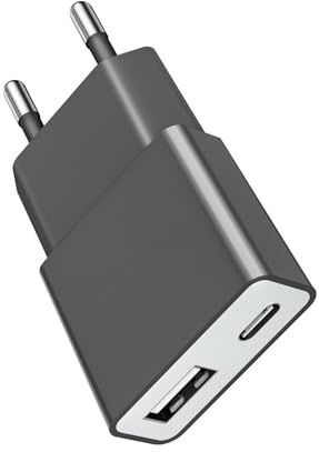 Bestwist Cargador USB 5W Adaptador de Carga Universal Ultra-Delgado (5V 1A) – 2 Puertos: USB-C + A – para iPhone, cepillos de Dientes eléctricos Xperia, lectores y teléfonos Inteligentes – Gris