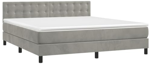 vidaXL Boxspringbett mit Matratze Hellgrau 180x200 cm Samt