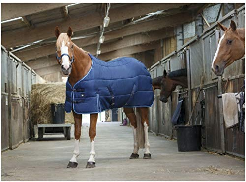 RIDING WORLD 300G stallskydd - filtstorlek - 6,9