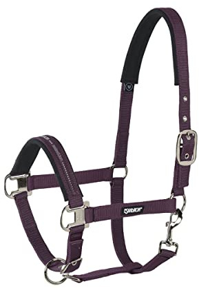 Eskadron Standard Halfter PIN Buckle