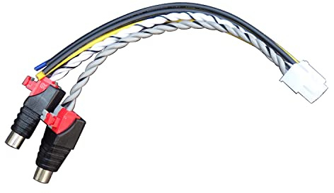 Anyqinsog 10-Pin Power Ground Remote Wire Speaker high Level Input Harness Plug RCA Cable Subwoofer Compatible with Pioneer TS-WX1210AM TS-WX1210A TS-WX1010A TS-WX300A TS-WX300TA | 10-Pin Speaker high Level Input Harness also Compatible with Pioneer TS-WX1010A TS-WX300A TS-WX300TA