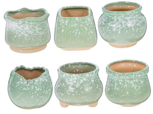 POPETPOP 6 Mini Pots de Fleurs en Céramique, pour Cactus et Plantes Succulentes, Légers, Finition Soignée, Vert, Bureau ou Jardin