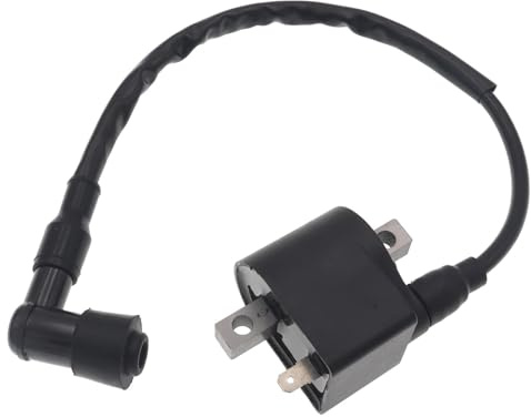 Gnistspole Tändspole För Suzuki LT50 LTA50 50cc 2-takts AX100 A100 AK100 FR80 100cc För Mini ATV Fyrhjuling 4 Hjul Motorcykel 1 Delad Tändspole