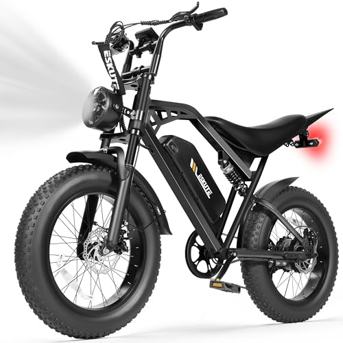 ESKUTE V200 Electric Dirt Bike for Adults,52V20.8Ah, 20 x4.0 Fat Tire,32MPH,NFC Unlock Color Display,7-Speed Dual Suspension,Dirt E-Bike,80 Miles, Streamlined Frame, E Bikes for Adults, Black