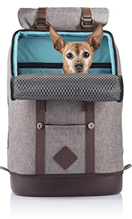 Kurgo Rucksack, Mit speziellem Hundefach, Atmungsaktives Netz und Wasserfester Boden, Für Haustiere bis 11 kg, Grau