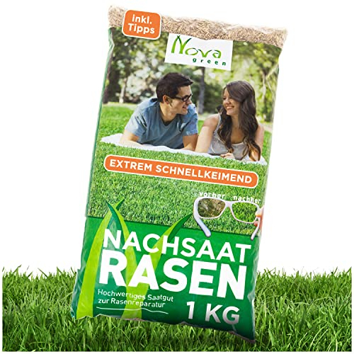Rasensamen schnellkeimend Herbst 1kg = 30-40m² Grassamen Rasensaat Rasen Nachsaat Rasensamen Nachsaat Rasennachsaat Trockenrasen & Turbo Regeneration für dichte Grasnarbe