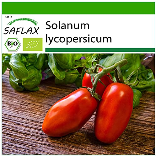 SAFLAX - BIO - Pomodoro - San Marzano - 15 semi - Solanum lycopersicum