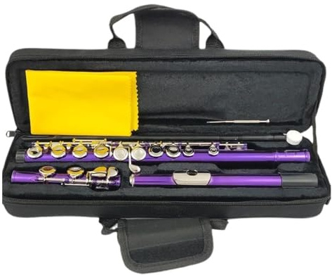 Flauto Flauto 16 fori chiusi Tasti C Strumento Flauto viola placcato in cupronichel nichelato con chiave E