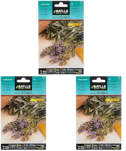 Graines aromatiques de Batlle - Lavande officinale (1g) (Lot de 3)