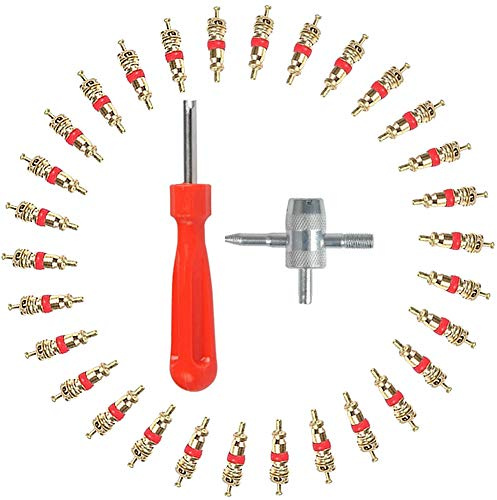 Reifenventilentferner Ventil, 102 Pcs Reifenventil Kern Werkzeug Set mit Doppel und Einzelkopf Ventilkern Entferner, 4 in1 Einzelkopf Reifenventil Einsatz Entferner für Auto Motorrad Fahrrad Reparatur