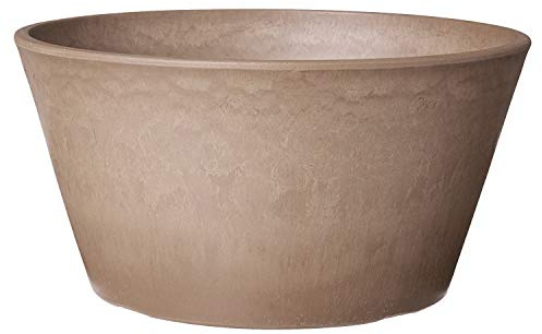 Arcadia PSW Pot TD25TP Collection - Maceta Poco Profunda para suculentas, bonsái, Jardines de Hadas, Hierbas, 10 Pulgadas, Gris Topo, Madera de Piedra de plástico