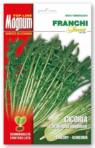 SEMI CICORIA CATALOGNA PUGLIESE FRANCHI SEMENTI