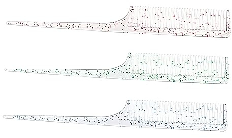 WRITWAA 3piezas Peine De Raya Peine Desenredante De Salón Para Cardar Para Estilistas