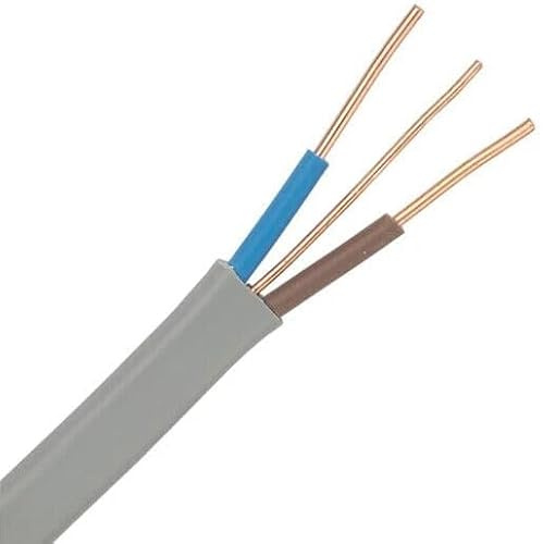 JAFSAL ONLINE Electrical Grey Twin & Earth Cable Lighting Electric Wire for Industrial & Domestic Wiring (10mm, 1.5m)